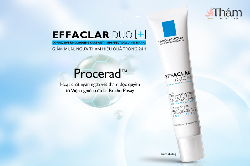 Thành phần hoạt chất Procerad